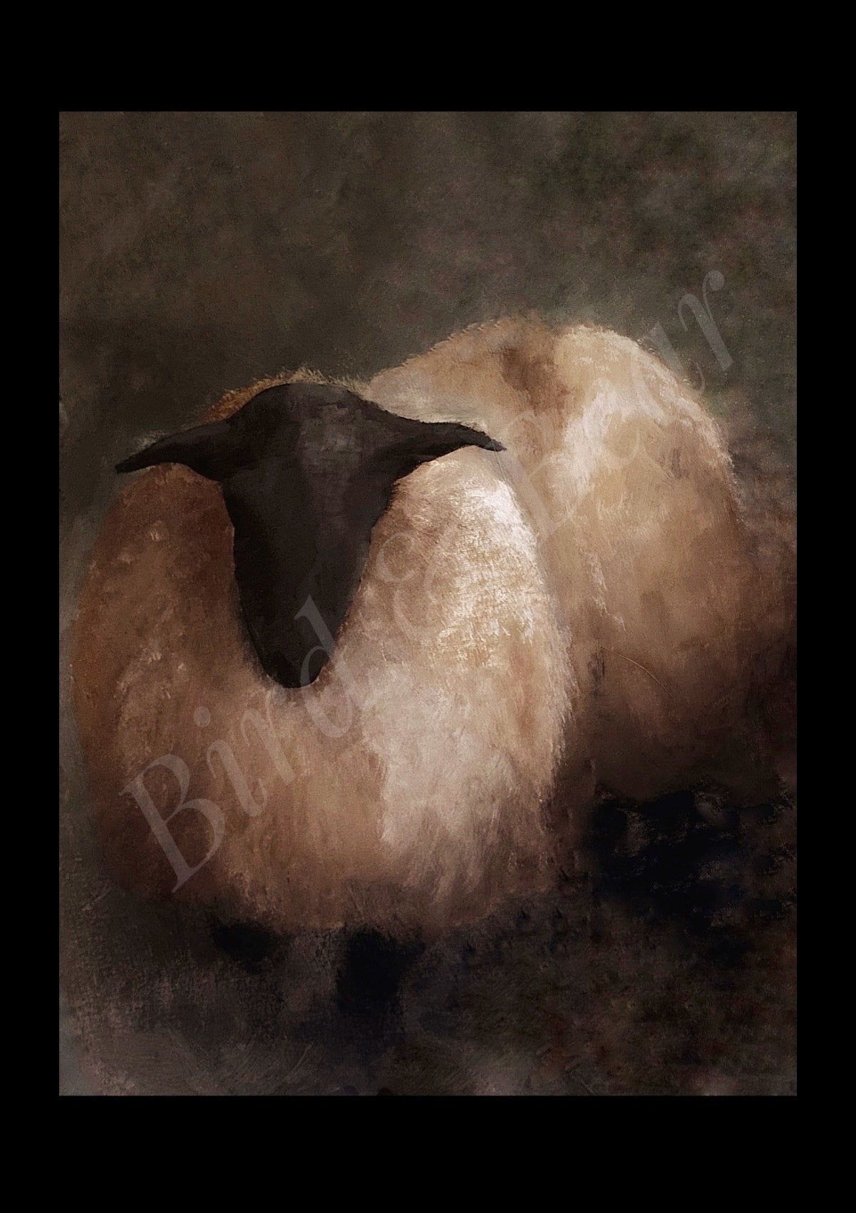 Quiet Companion
